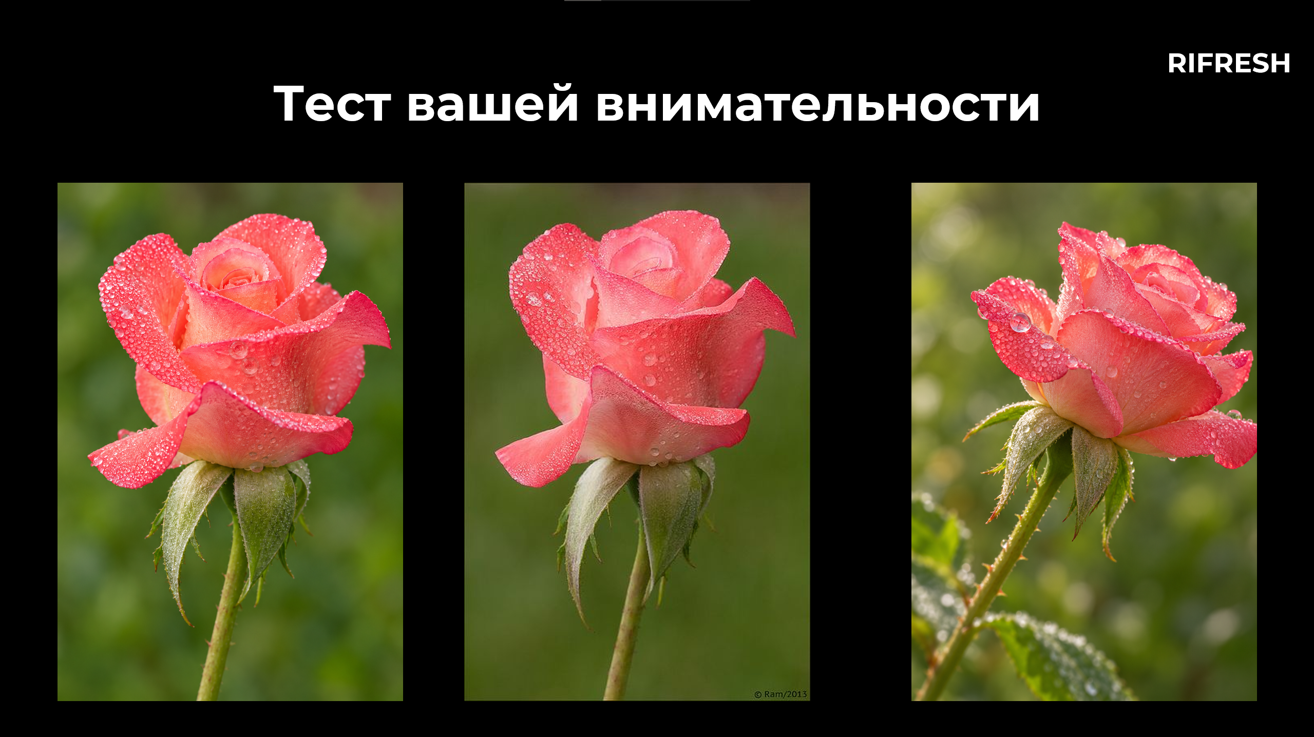 изображение_2026-10-29_175440284